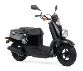 2008 Yamaha Giggle photo